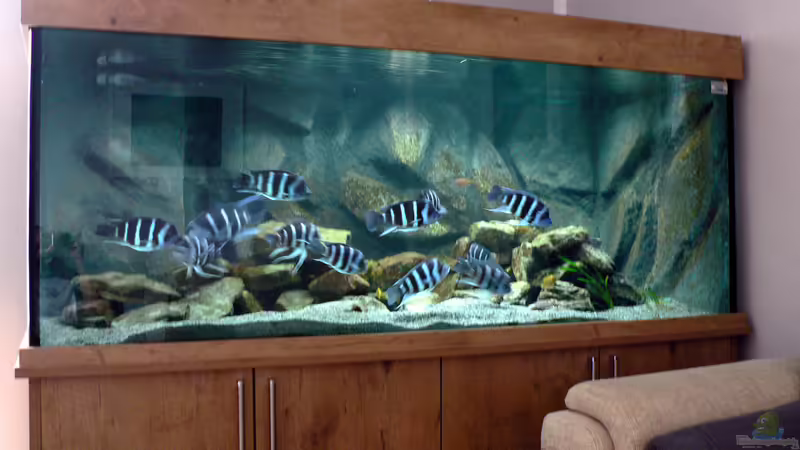 Totale-01 von Baeltes (1)