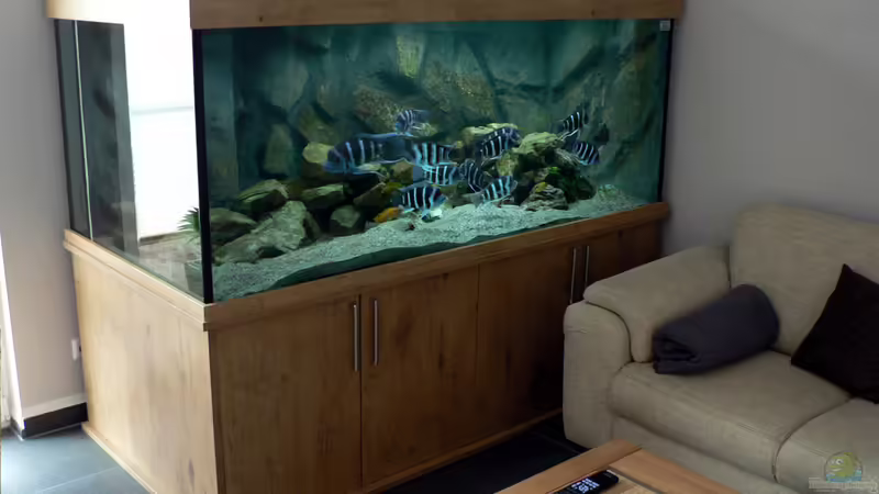 Totale-02 von Baeltes (2)