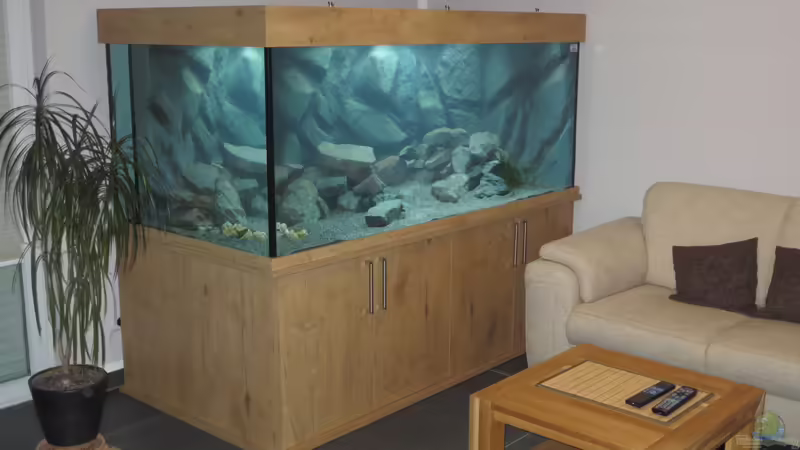 Totale-10 von Baeltes (3)