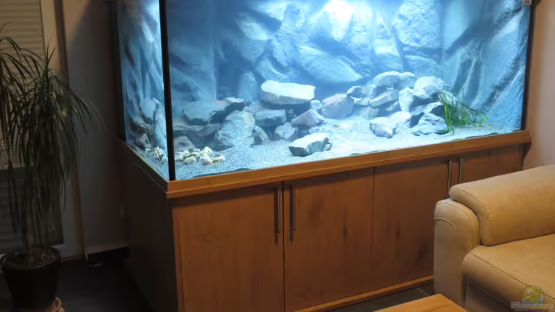 Totale-11 von Baeltes (4)