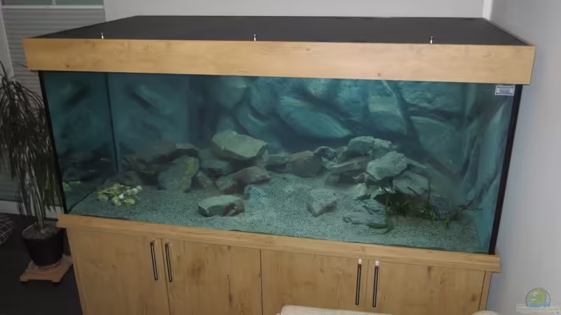 Totale-13 von Baeltes (6)