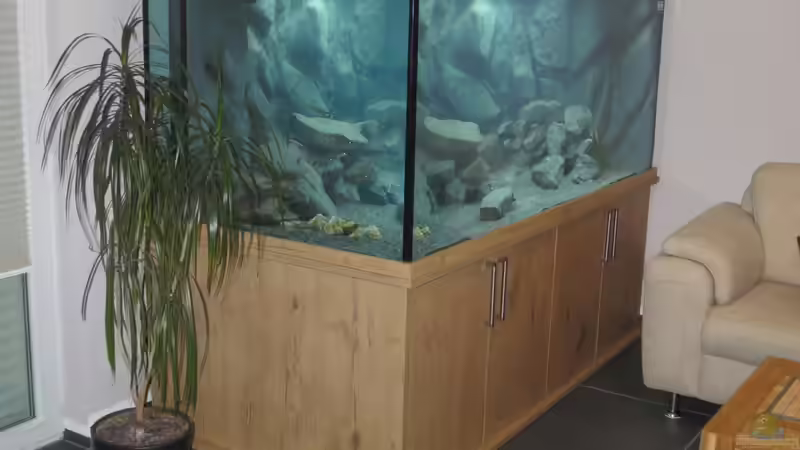 Totale-14 von Baeltes (8)