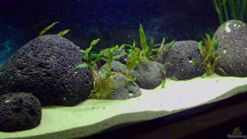 Totale 2 von Dr. Dr. Kliem (3)