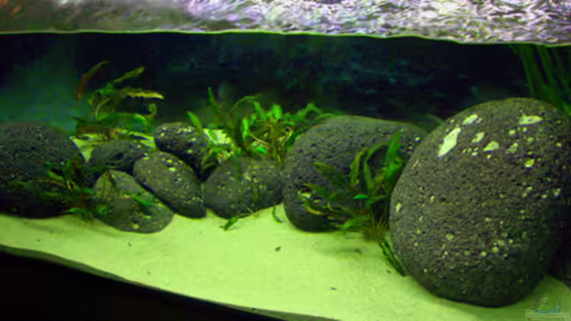 Totale 3 von Dr. Dr. Kliem (4)