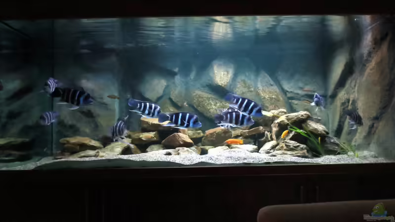 Totale-30 von Baeltes (11)