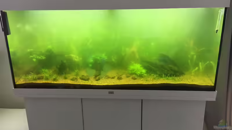 Totale Grünalge von Chris Bert (17)