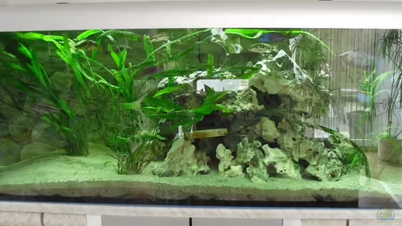 Totale (leider Verspiegelt mache Abends mal eins) von Toelz (1)