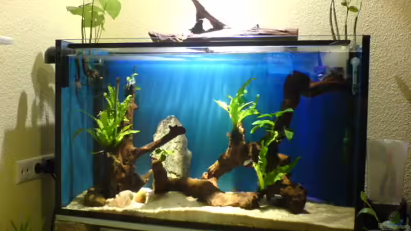 Totale! (naja kleine Totale) von Ralf Kahl (4)