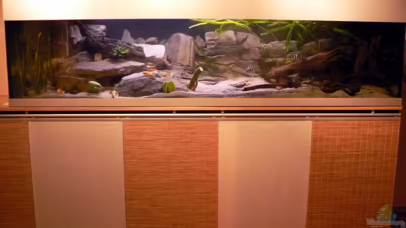 Totale von Baeltes (1)