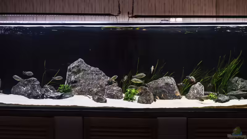 Totale von Elsiman (1)