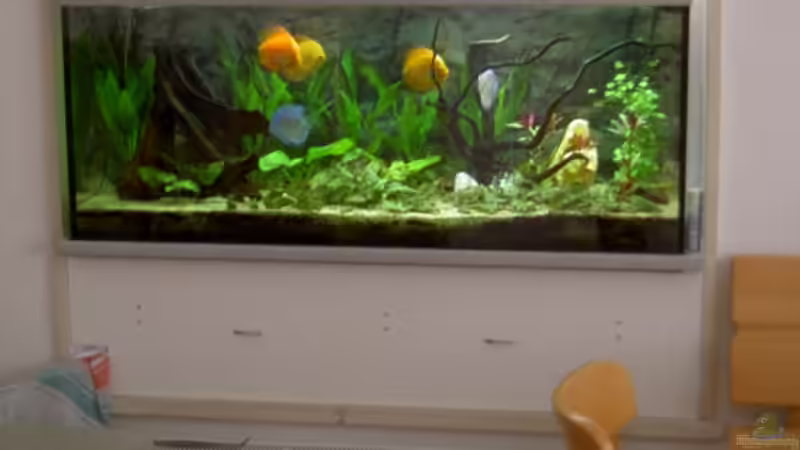 Totale von Kurt Kastl (3)