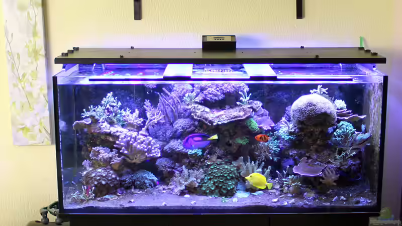 Totale von The_Lizardking (2)