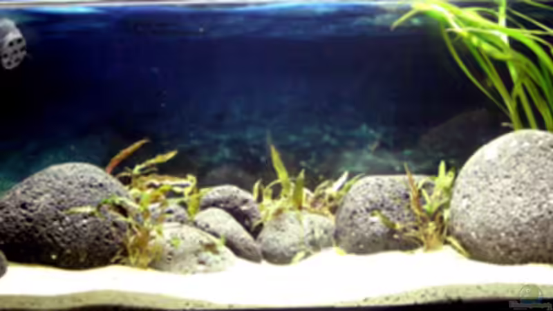 Totale von vorne von Dr. Dr. Kliem (2)