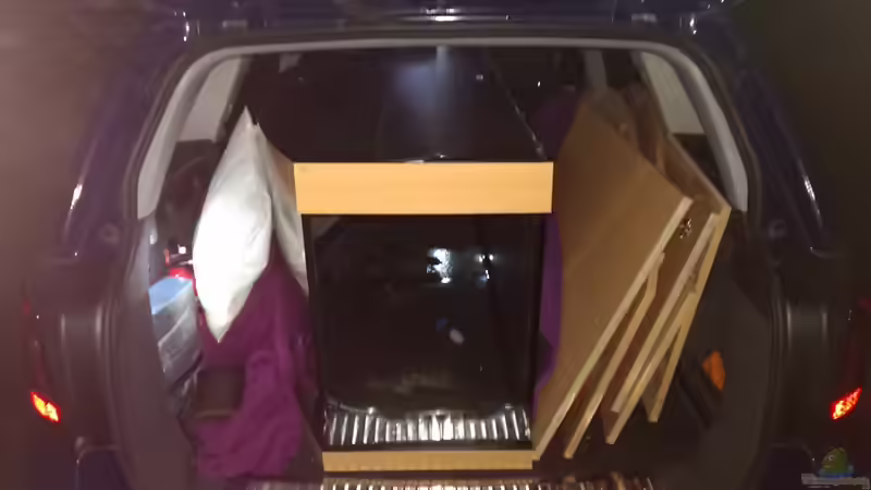 Transport von Marcel R. (2)