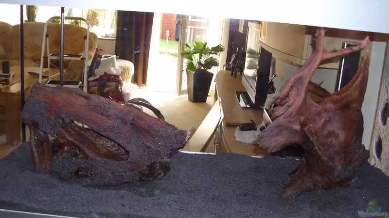 Traumwurzeln von Günther Kröger (24)