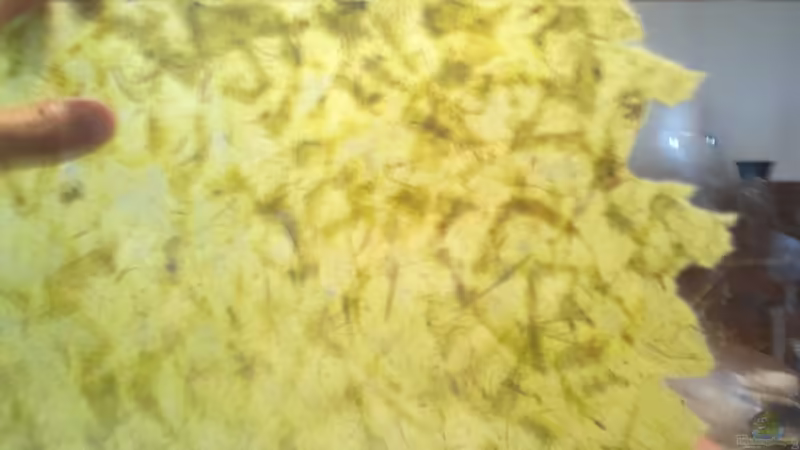 Treballant sobre el moble, el vidre, cara vista von lomarraco (58)