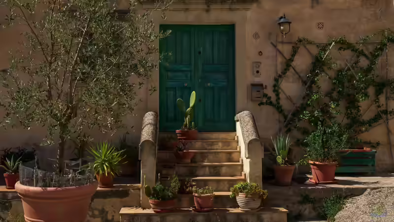 Trend Olivenbaum: So wird er im Kübel gepflanzt