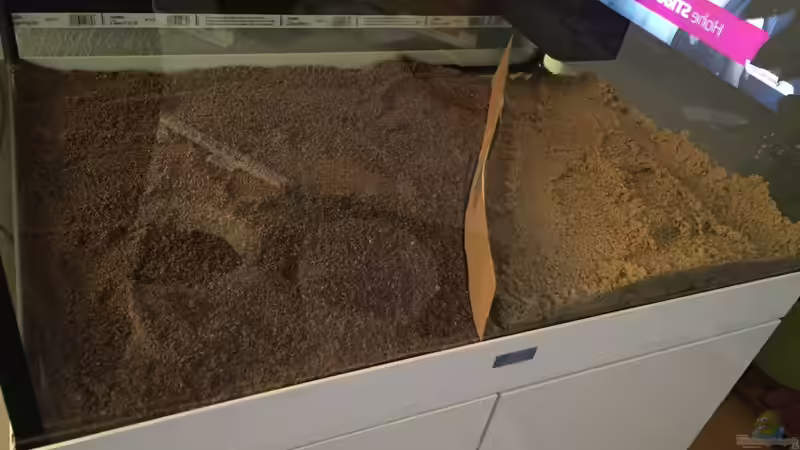 Trennwand aus Pappe für den Bodengrund von moehriam (11)