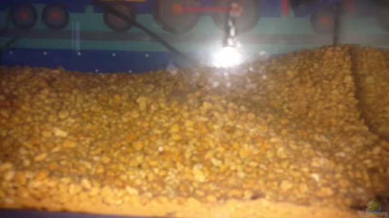 Tres dies han estat suficients per precipitar el substracte von lomarraco (63)