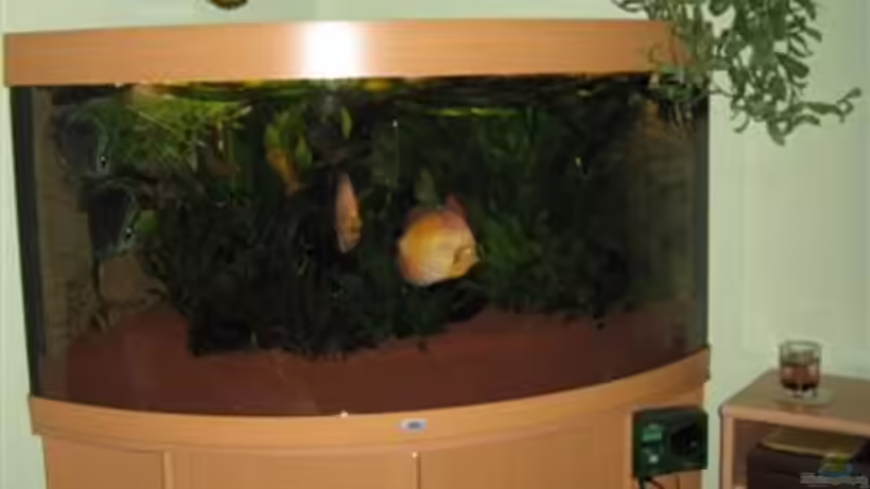 Trigon 350 bei Tag von Jogi (2)