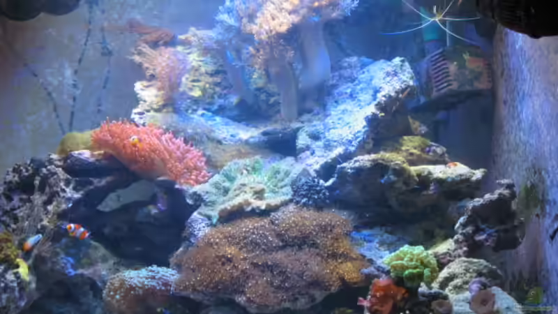 Trigon 350 stand 05.09.2010 von Holgi K. (18)