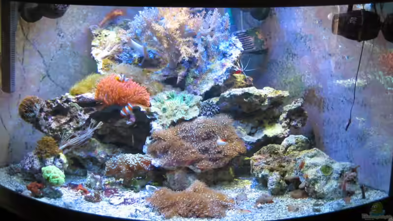 Trigon 350 stand 06.08.2010 von Holgi K. (17)