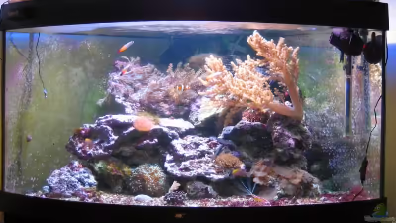 Trigon 350 stand 15.06.2009 von Holgi K. (8)