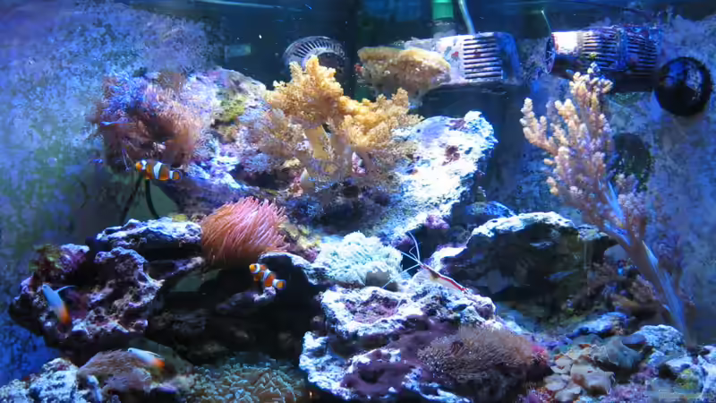 Trigon 350 stand 15.11.2009 von Holgi K. (10)