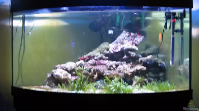 Trigon 350 stand 24.02.2009 von Holgi K. (4)