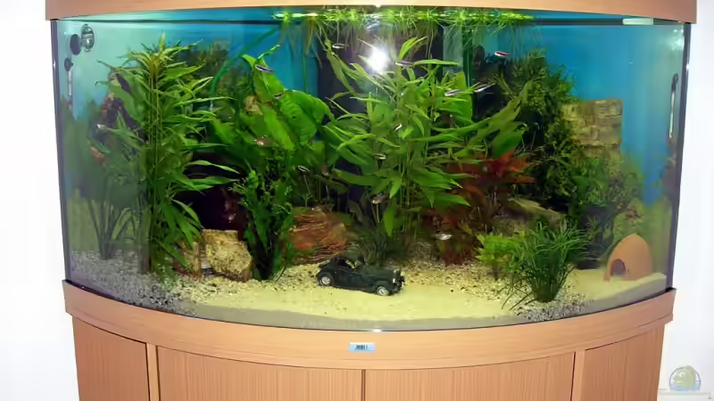 Trigon 350 von KaSa (2)