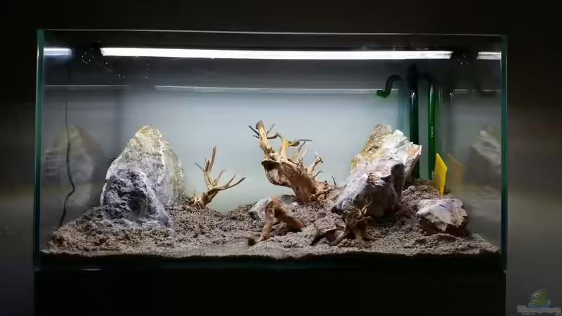 Trockenaufbau  von Livia & Marc (11)