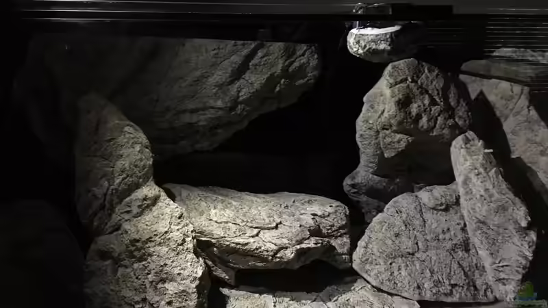 Trockenaufbau von TH (3)