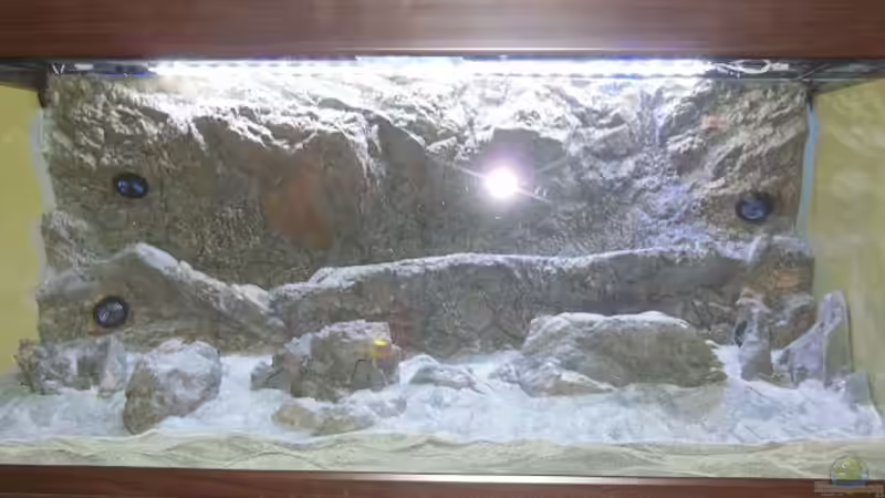 Trockenbau: Papua unter Blitzlicht  von tomwu (12)