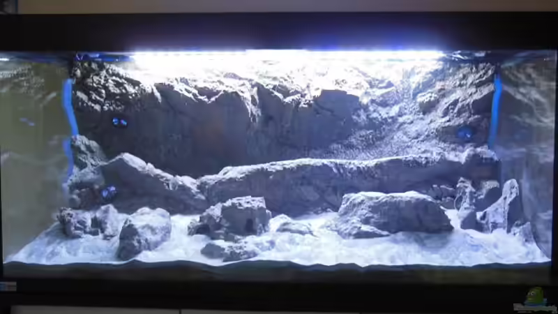 Trockenbau: Papua unter LED  von tomwu (13)