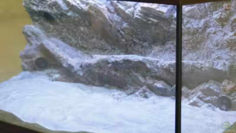 Trockenbau Sand von tomwu (14)