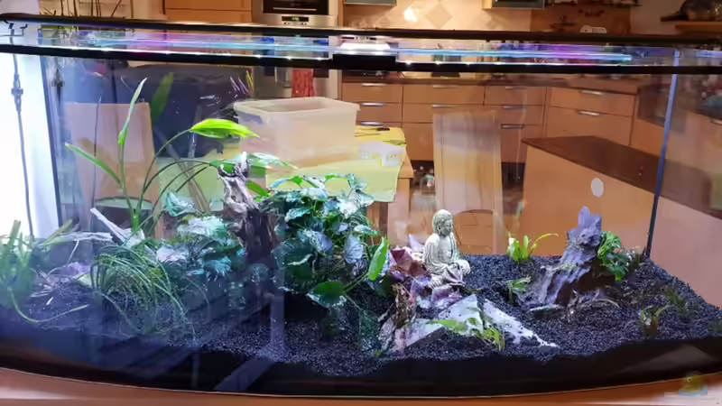 Trockendeck von Manuela&Mike (20)