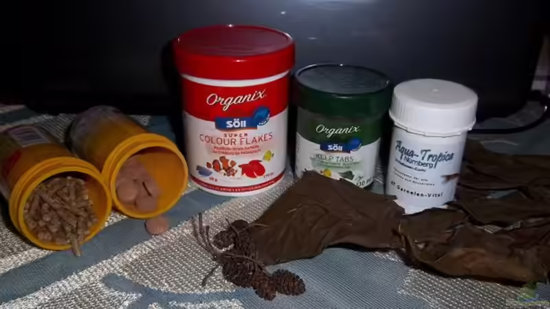 Trockenfutterangebot  von Zebraschneggla (38)