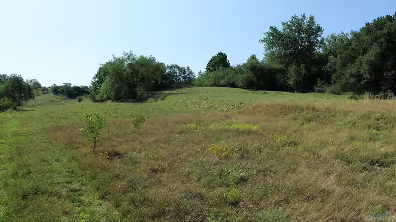 Trockenrasen - faszinierende Überlebenskünstler für naturnahe Gärten