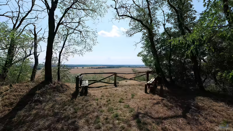 Trockenrasen - faszinierende Überlebenskünstler für naturnahe Gärten