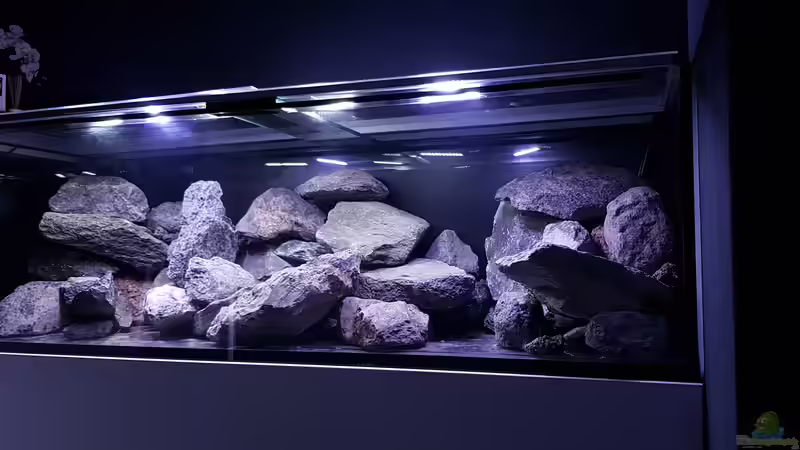 Trockenscape von Gernot (3)