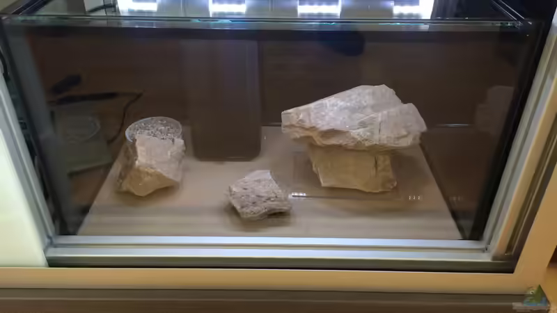 Trockenübung ohne Trennschieber von Branjo (8)