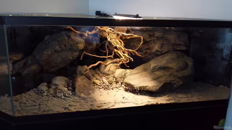 Trockenübung von Laura (13)