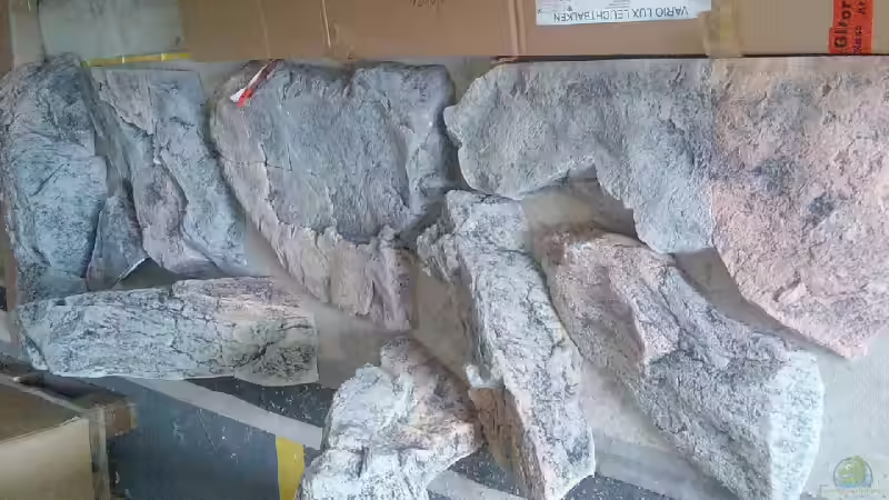 Trockenversuch Module Back to nature von Crenii (26)