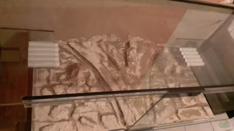 Trocknung mit Ventilator, ´Zeitdruck´. von raubsau (24)