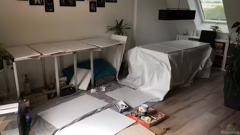 Trocknungsphase von stroelly (16)