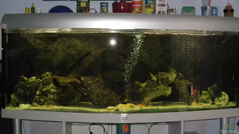 Tropheusbecken 575 l 