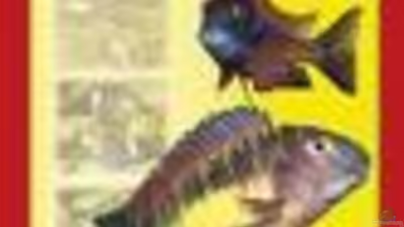 Tropheusbücher 2 von H.K-Mika (6)