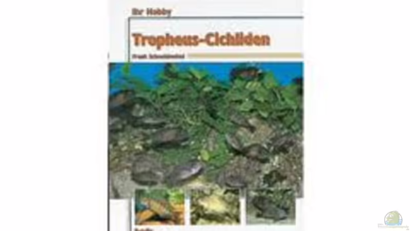 Tropheusbücher 4 von H.K-Mika (8)