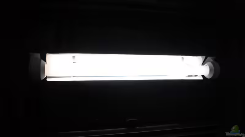 Tropic Solar Lampe mit Reflektor von Marc Leu (23)