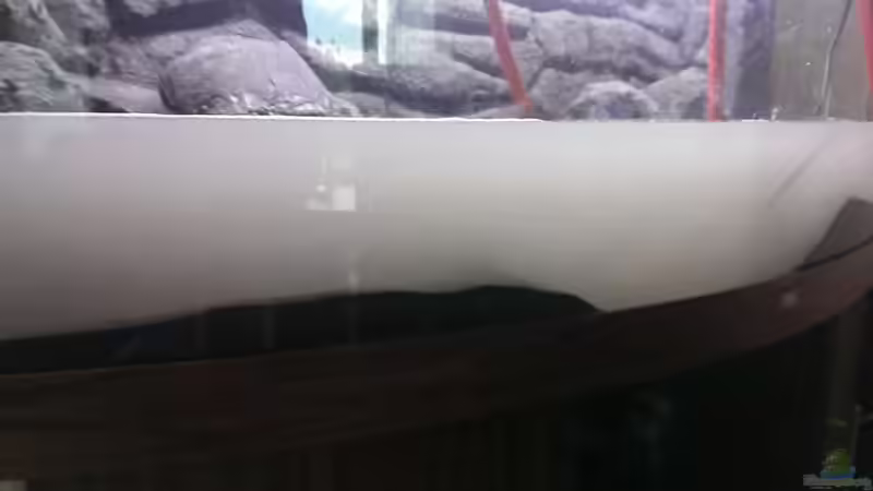 trotz langen waschen Sansibar black  von Marcel R. (9)